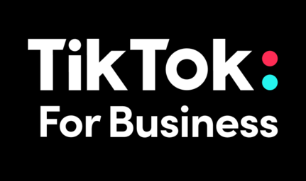 【GAS】TikTok広告の運用データを取得する方法